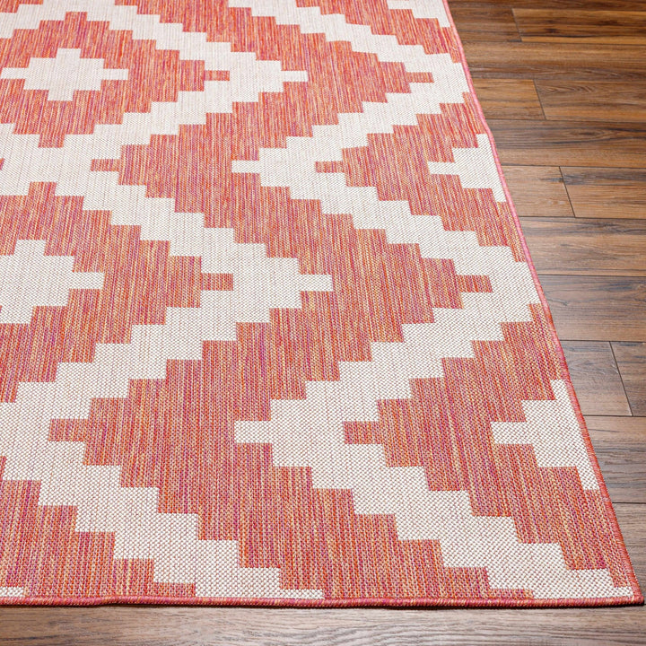 Anke Bohemian Style Burnt Orange Area Rug - The Rug Decor