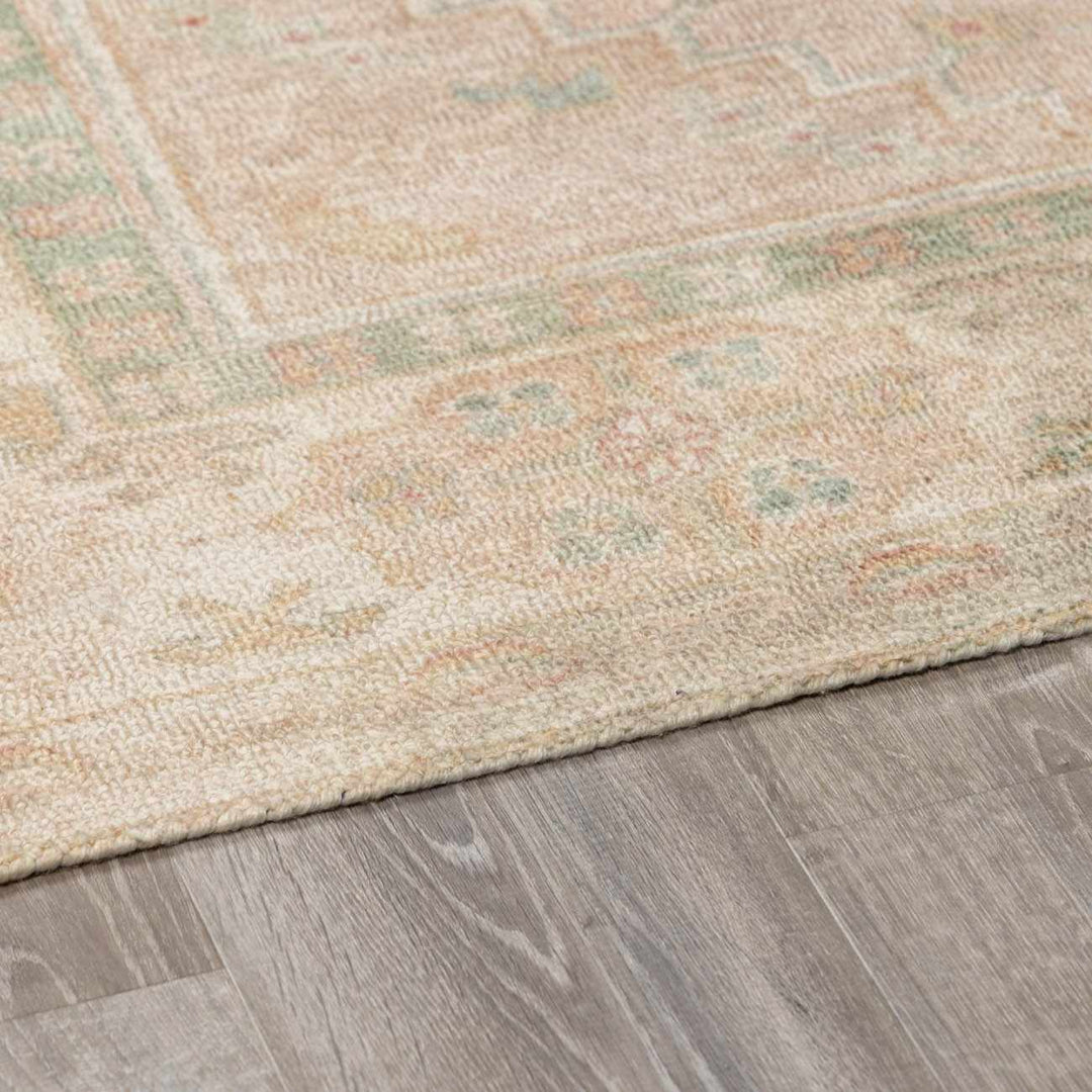 Anneke Traditional Style Peach Hand Tufted Area Rug - The Rug Decor