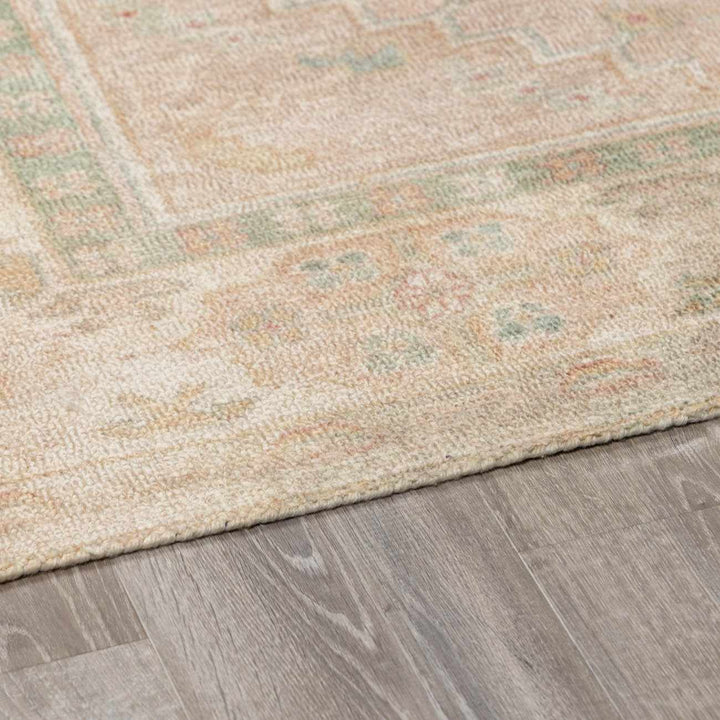 Anneke Traditional Style Peach Hand Tufted Area Rug - The Rug Decor