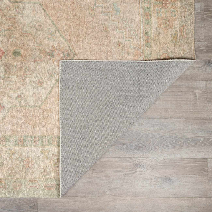 Anneke Traditional Style Peach Hand Tufted Area Rug - The Rug Decor