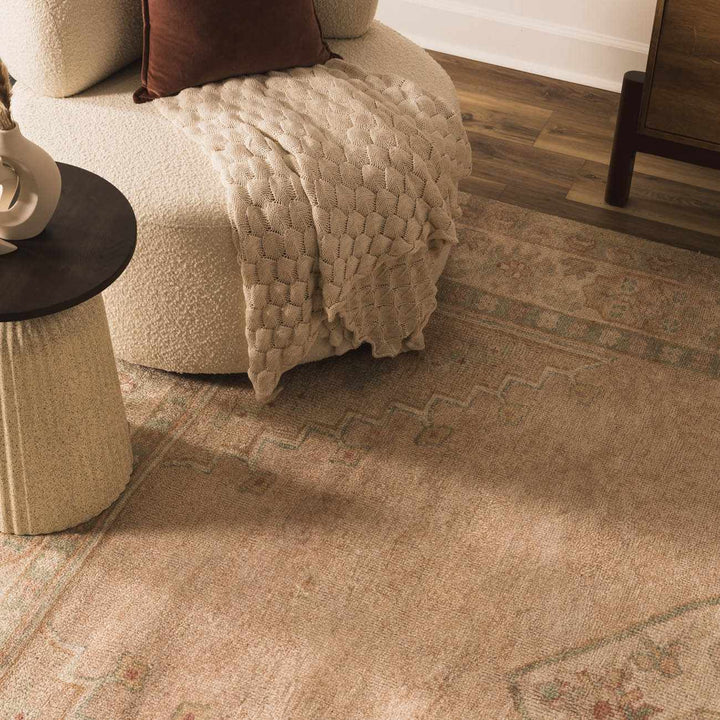 Anneke Traditional Style Peach Hand Tufted Area Rug - The Rug Decor