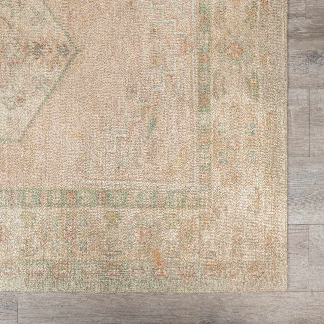 Anneke Traditional Style Peach Hand Tufted Area Rug - The Rug Decor