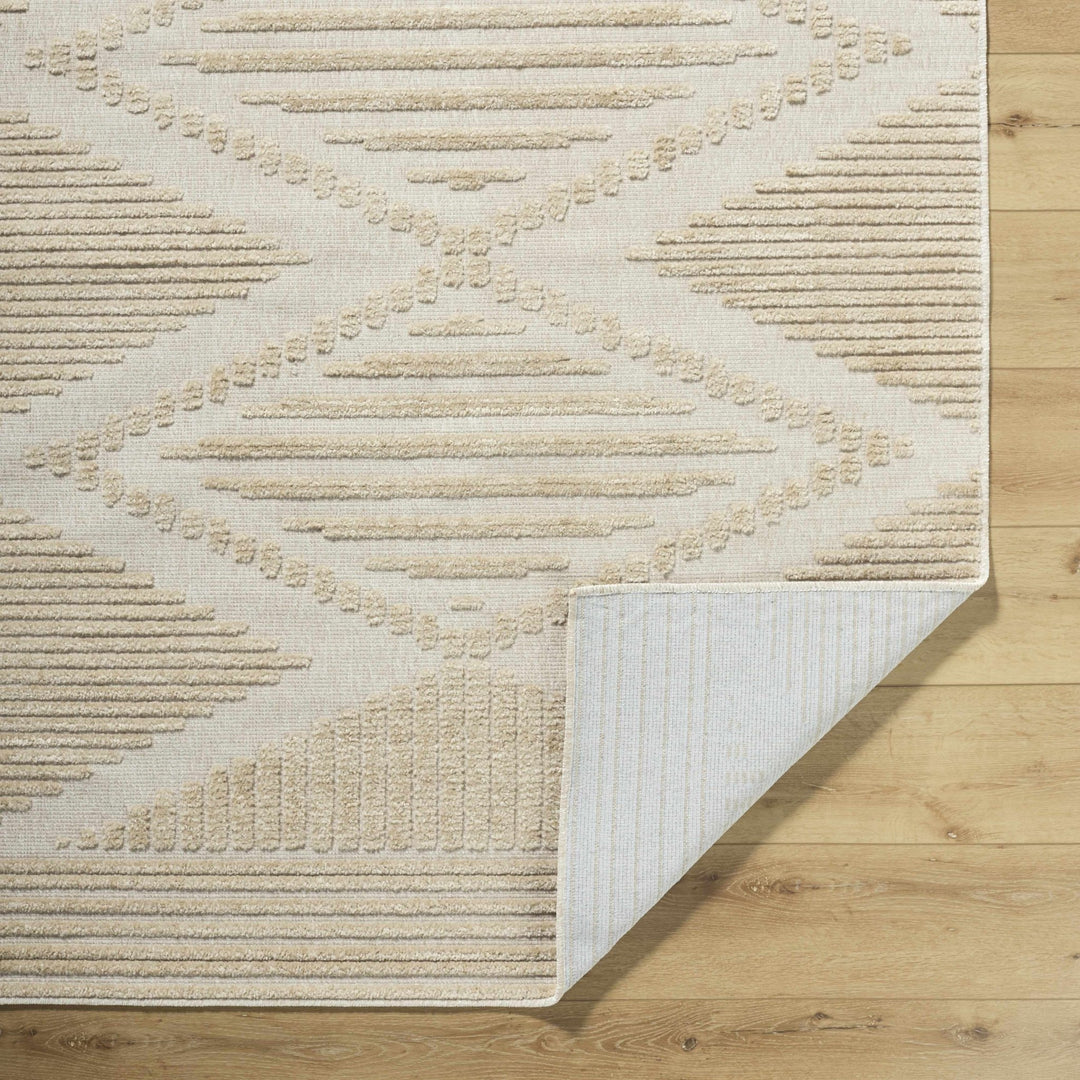 Annika Modern Beige And Ivory Washable Area Rug - The Rug Decor