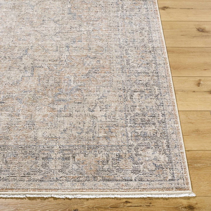 Anomie Traditional Beige And Gray Area Rug - The Rug Decor