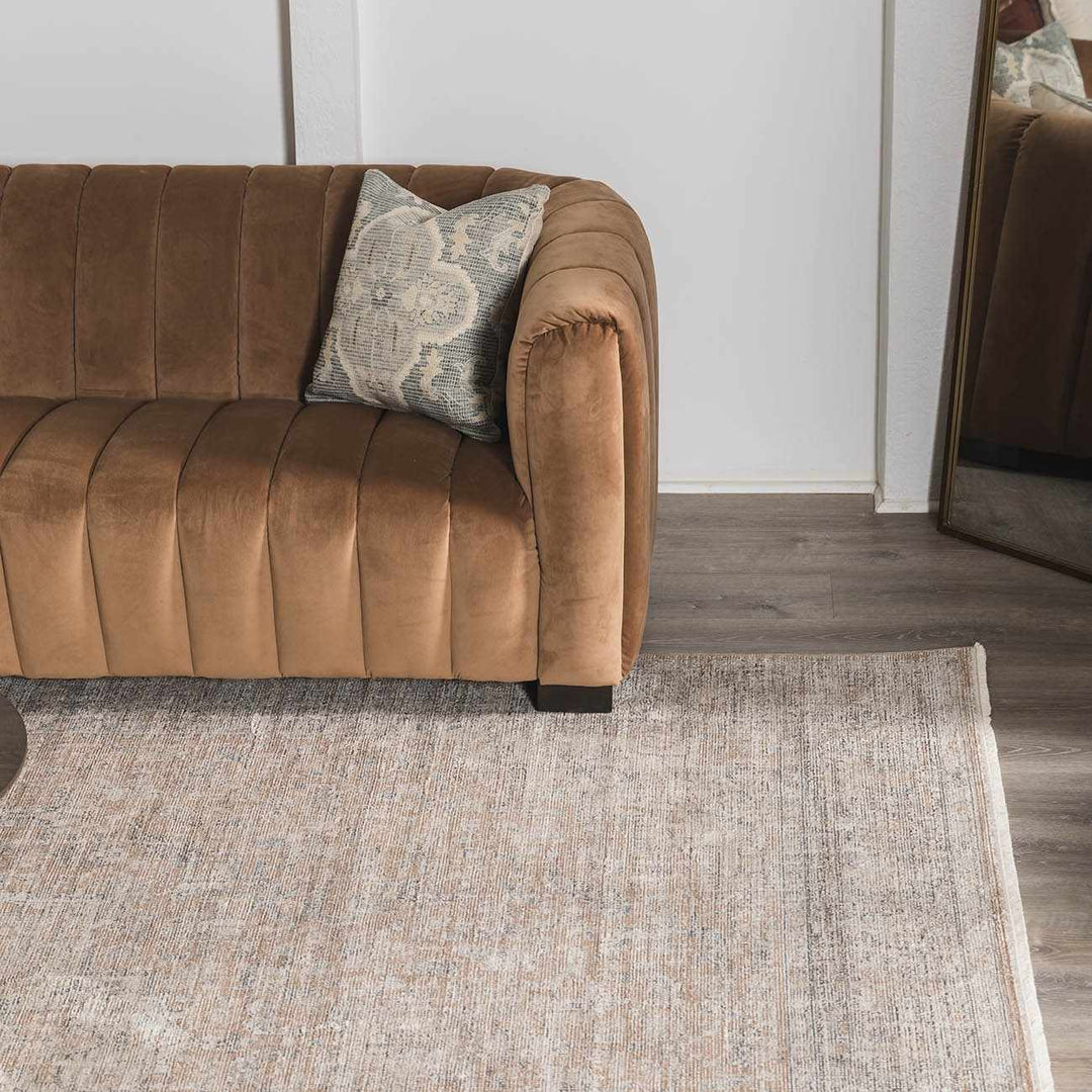 Anomie Traditional Beige And Gray Area Rug - The Rug Decor