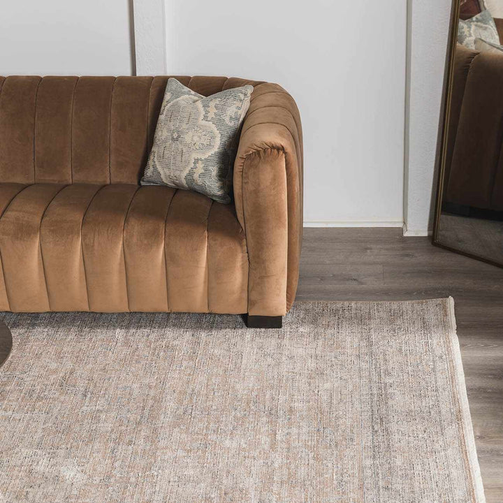 Anomie Traditional Beige And Gray Area Rug - The Rug Decor