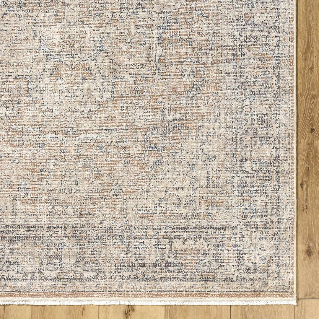 Anomie Traditional Beige And Gray Area Rug - The Rug Decor