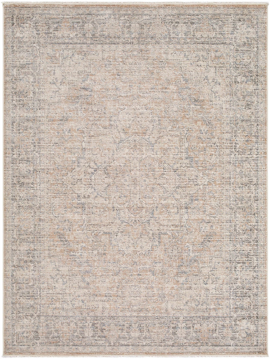 Anomie Traditional Beige And Gray Area Rug - The Rug Decor