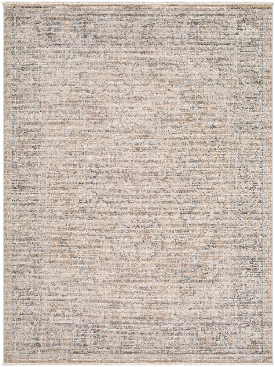 Anomie Traditional Beige And Gray Area Rug - The Rug Decor
