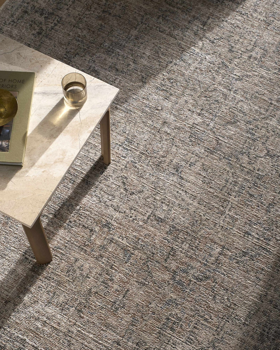 Anomie Traditional Beige And Gray Area Rug - The Rug Decor