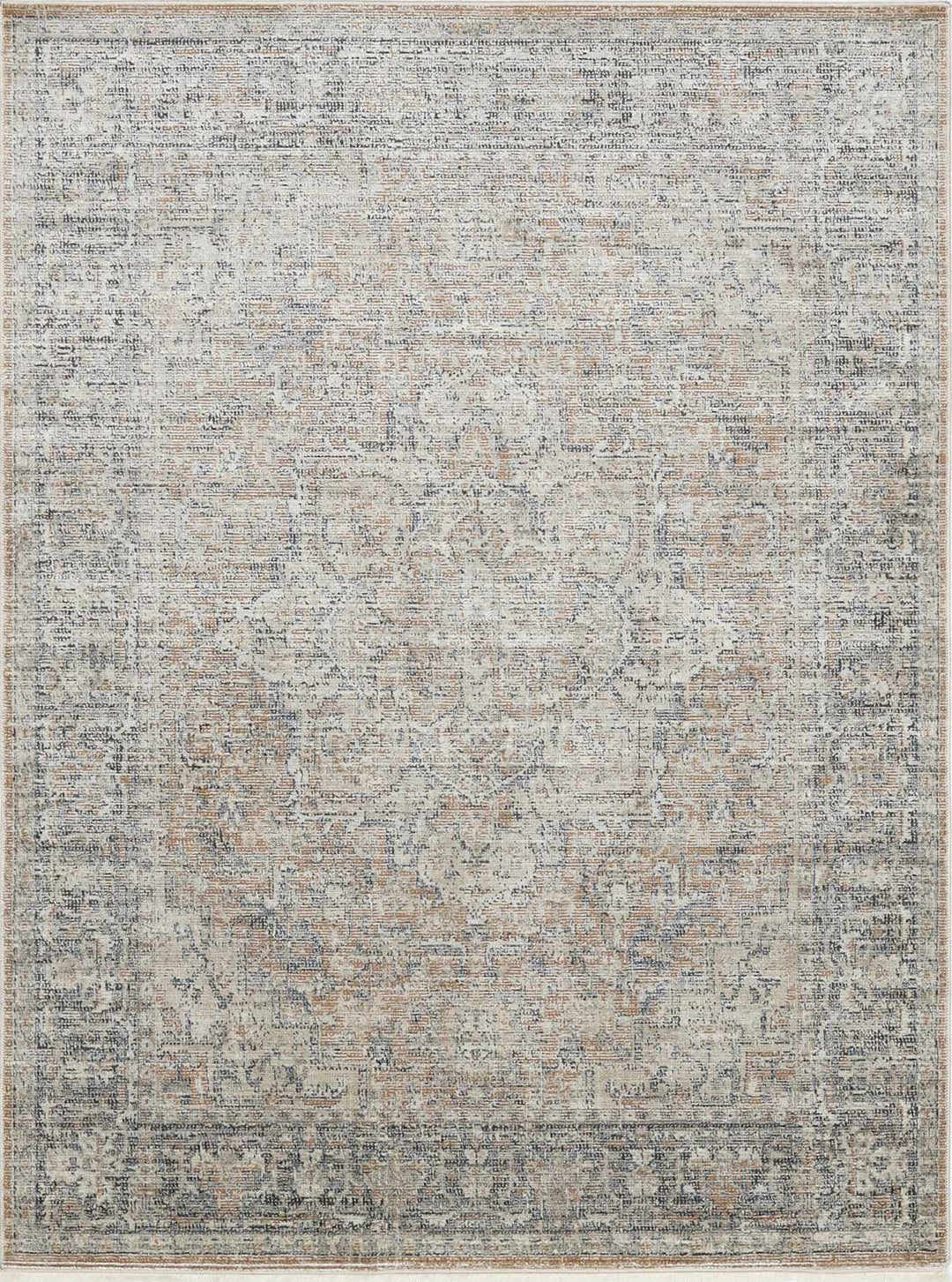 Anomie Traditional Beige And Gray Area Rug - The Rug Decor