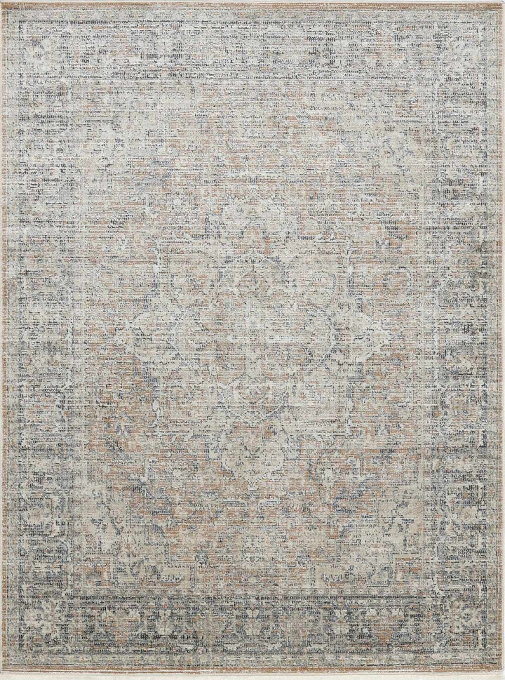 Anomie Traditional Beige And Gray Area Rug - The Rug Decor