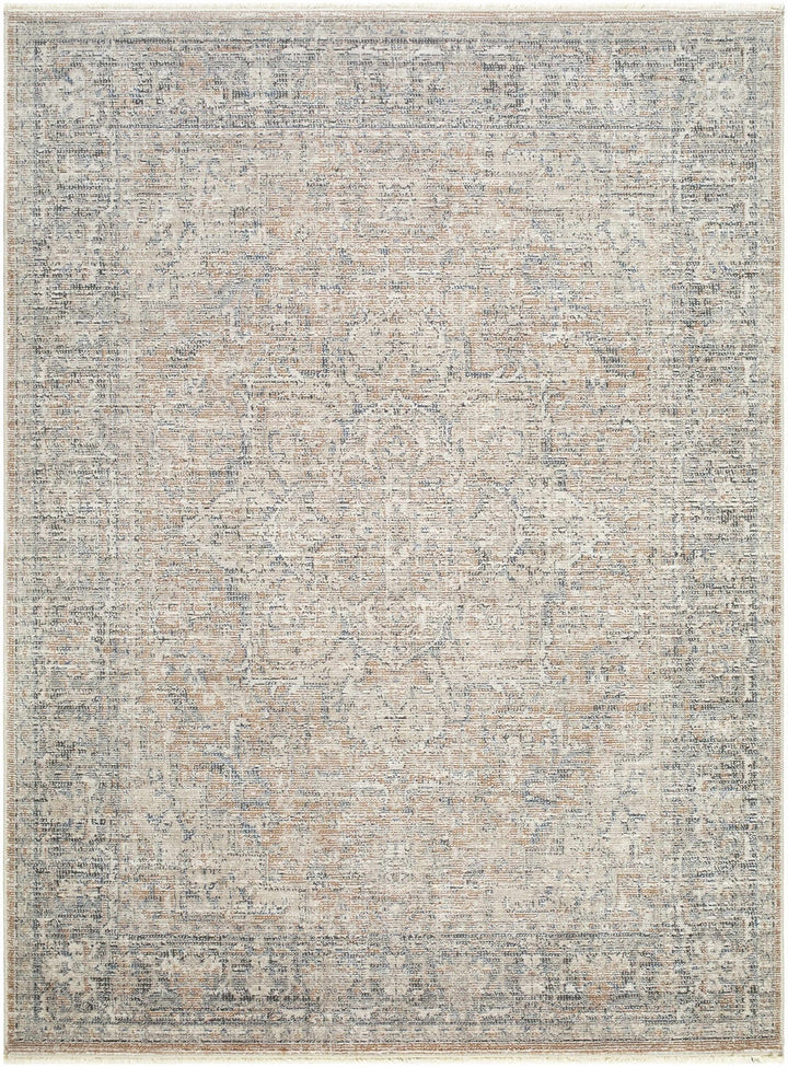 Anomie Traditional Beige And Gray Area Rug - The Rug Decor