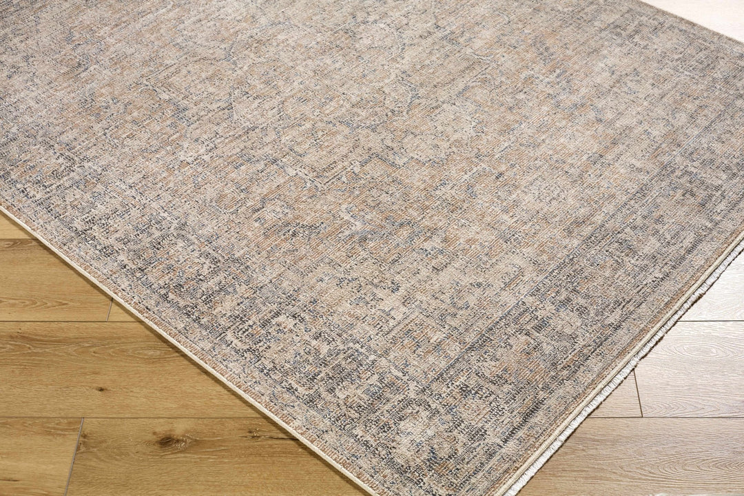 Anomie Traditional Beige And Gray Area Rug - The Rug Decor