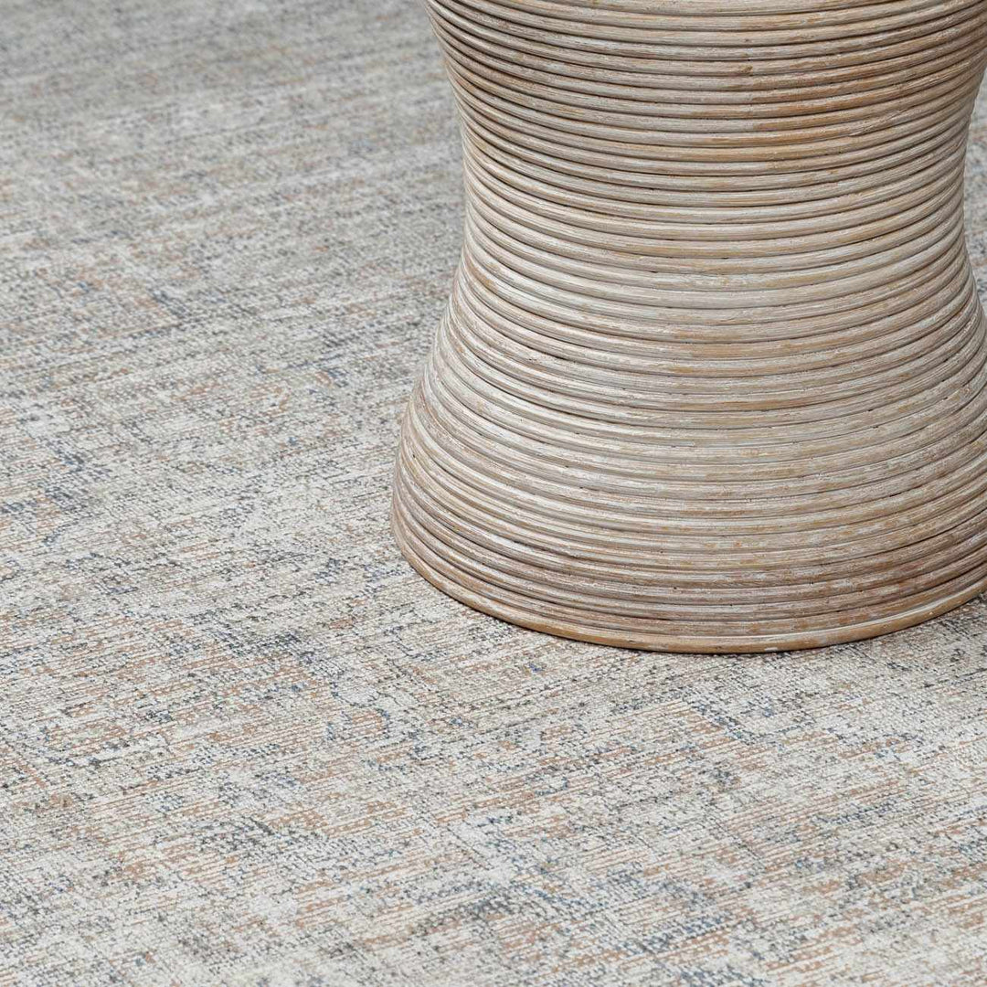 Anomie Traditional Beige And Gray Area Rug - The Rug Decor