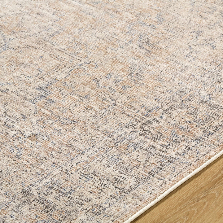 Anomie Traditional Beige And Gray Area Rug - The Rug Decor