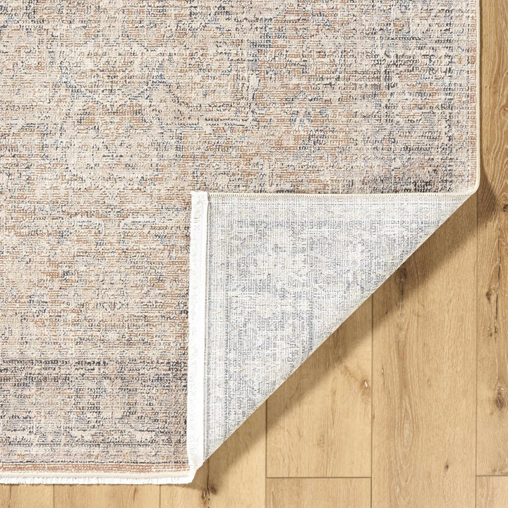 Anomie Traditional Beige And Gray Area Rug - The Rug Decor