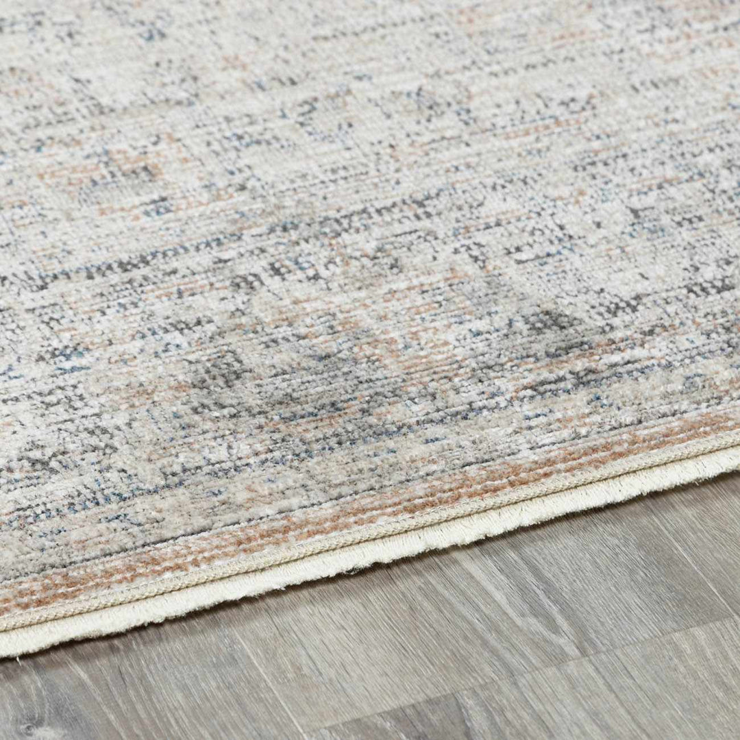 Anomie Traditional Beige And Gray Area Rug - The Rug Decor