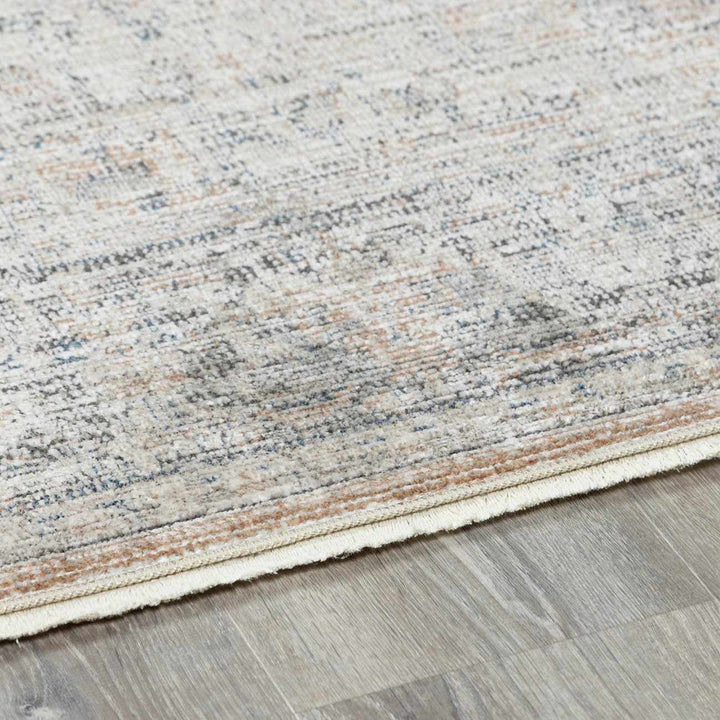 Anomie Traditional Beige And Gray Area Rug - The Rug Decor