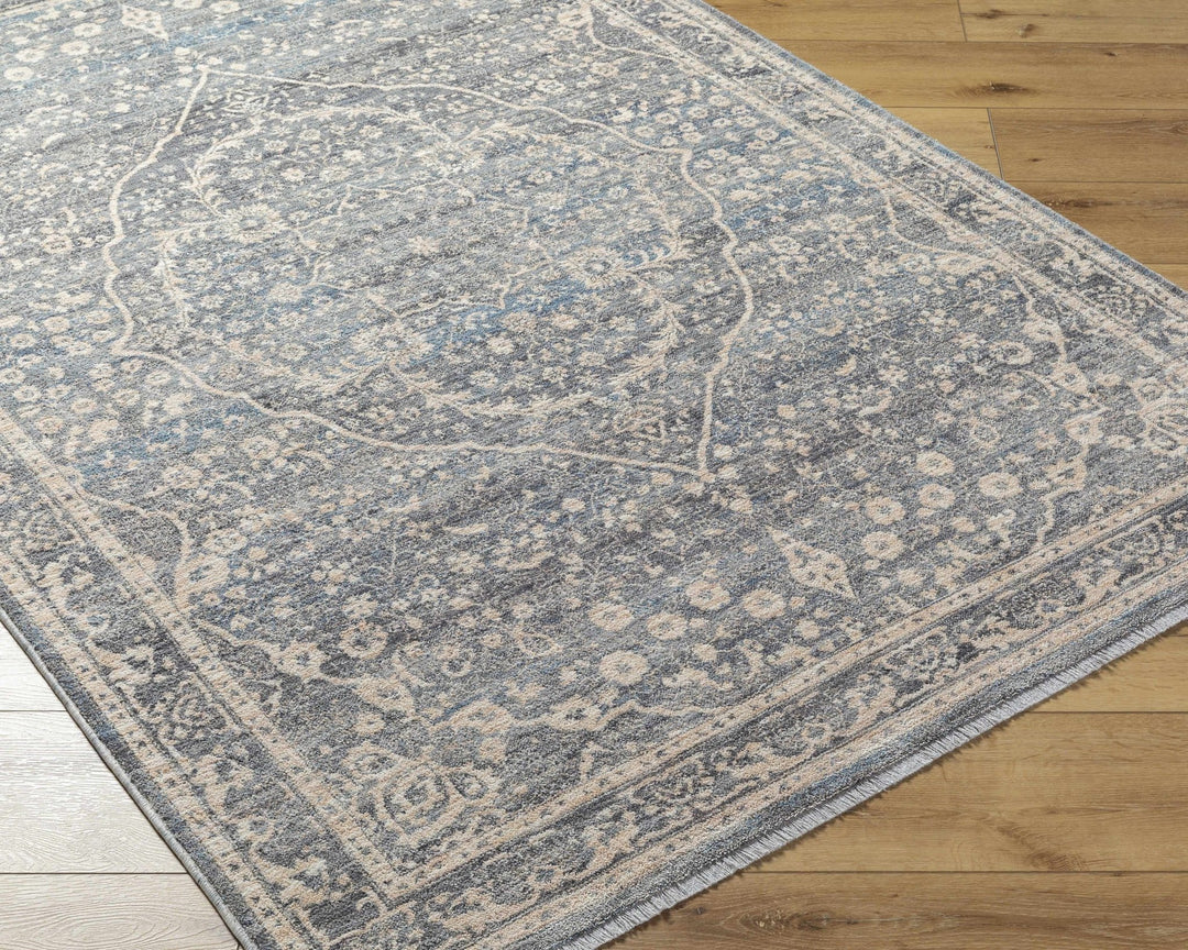 Anouk Traditional Style Beige And Gray Area Rug - The Rug Decor