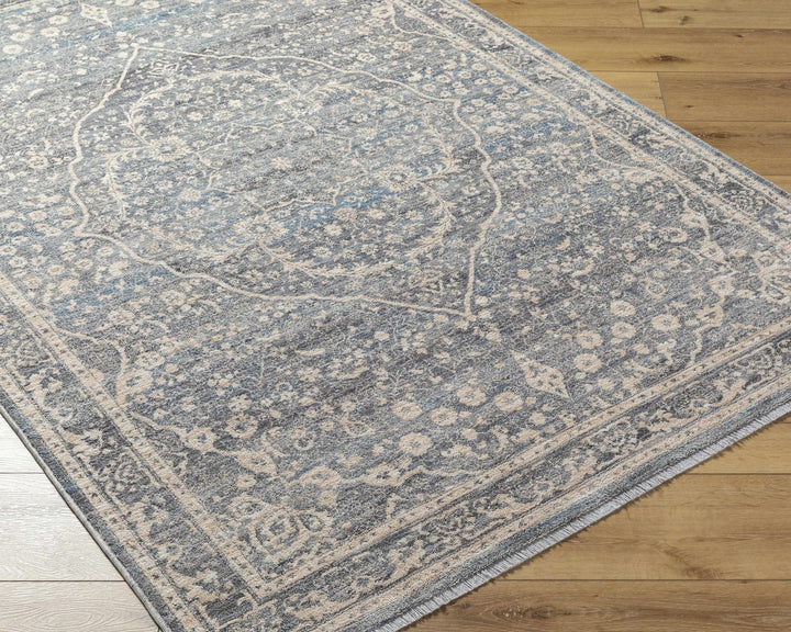 Anouk Traditional Style Beige And Gray Area Rug - The Rug Decor