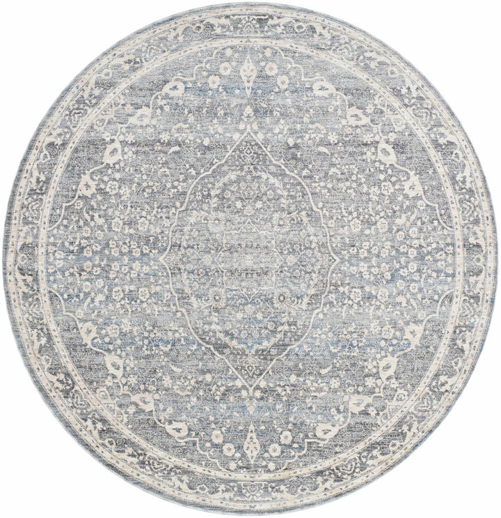 Anouk Traditional Style Beige And Gray Area Rug - The Rug Decor