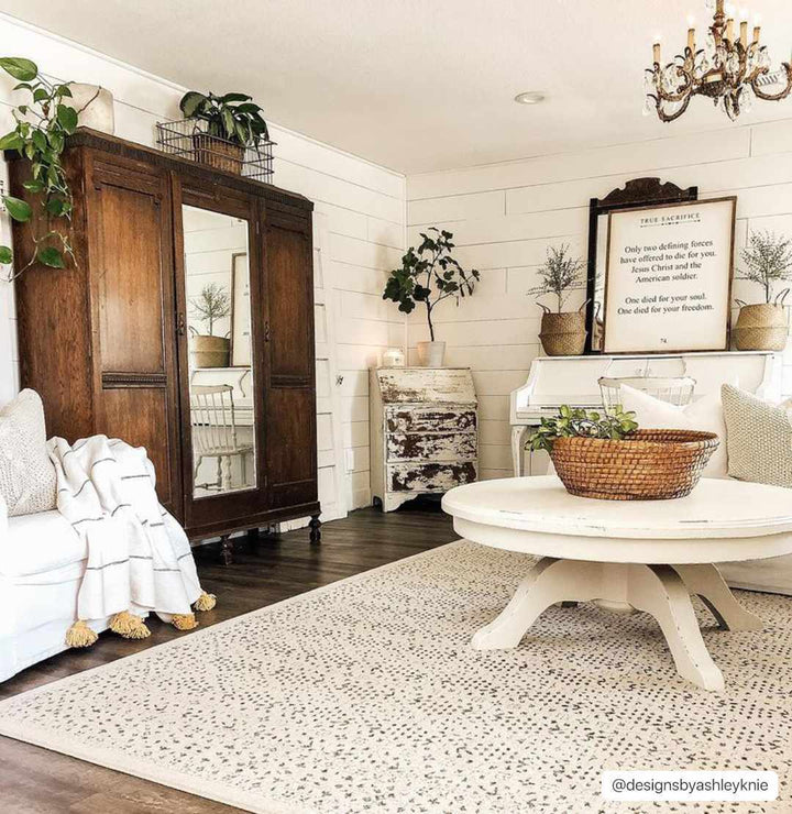 Antique Design Beige and Charcoal Traditional area rug - The Rug Decor