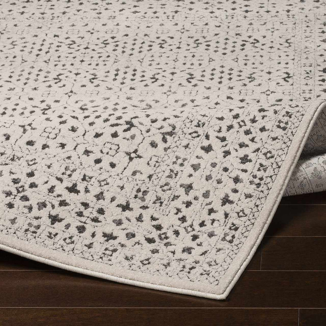 Antique Design Beige and Charcoal Traditional area rug - The Rug Decor