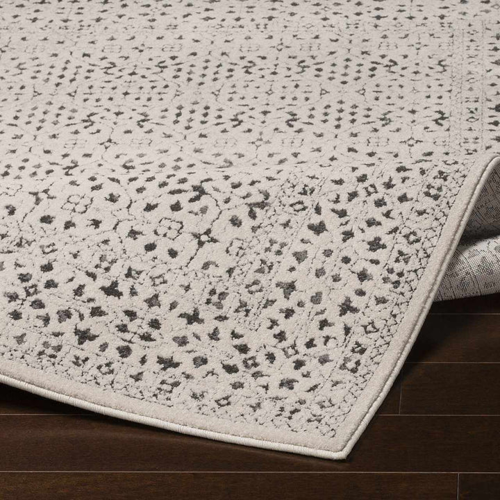 Antique Design Beige and Charcoal Traditional area rug - The Rug Decor