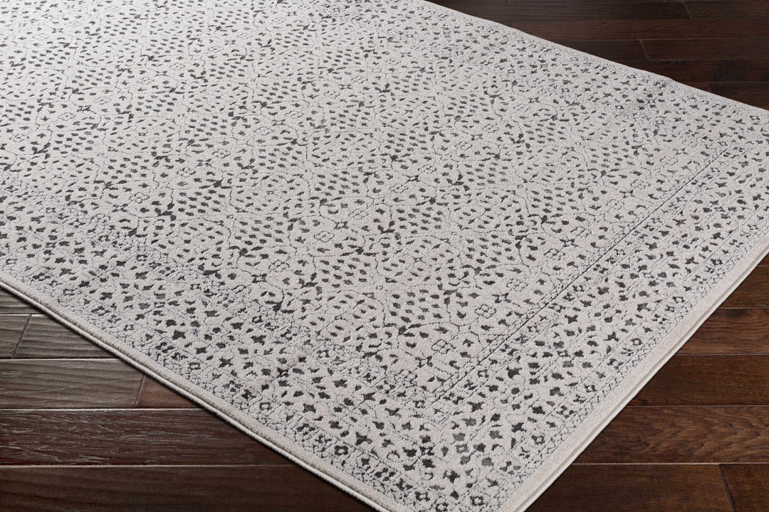 Antique Design Beige and Charcoal Traditional area rug - The Rug Decor