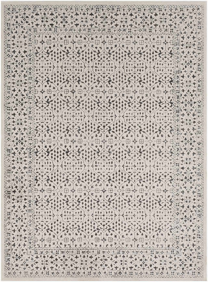 Antique Design Beige and Charcoal Traditional area rug - The Rug Decor