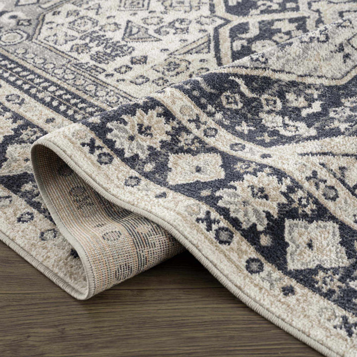 Antique Design Premium Black, Beige and Gray Traditional Washable area Rug - The Rug Decor