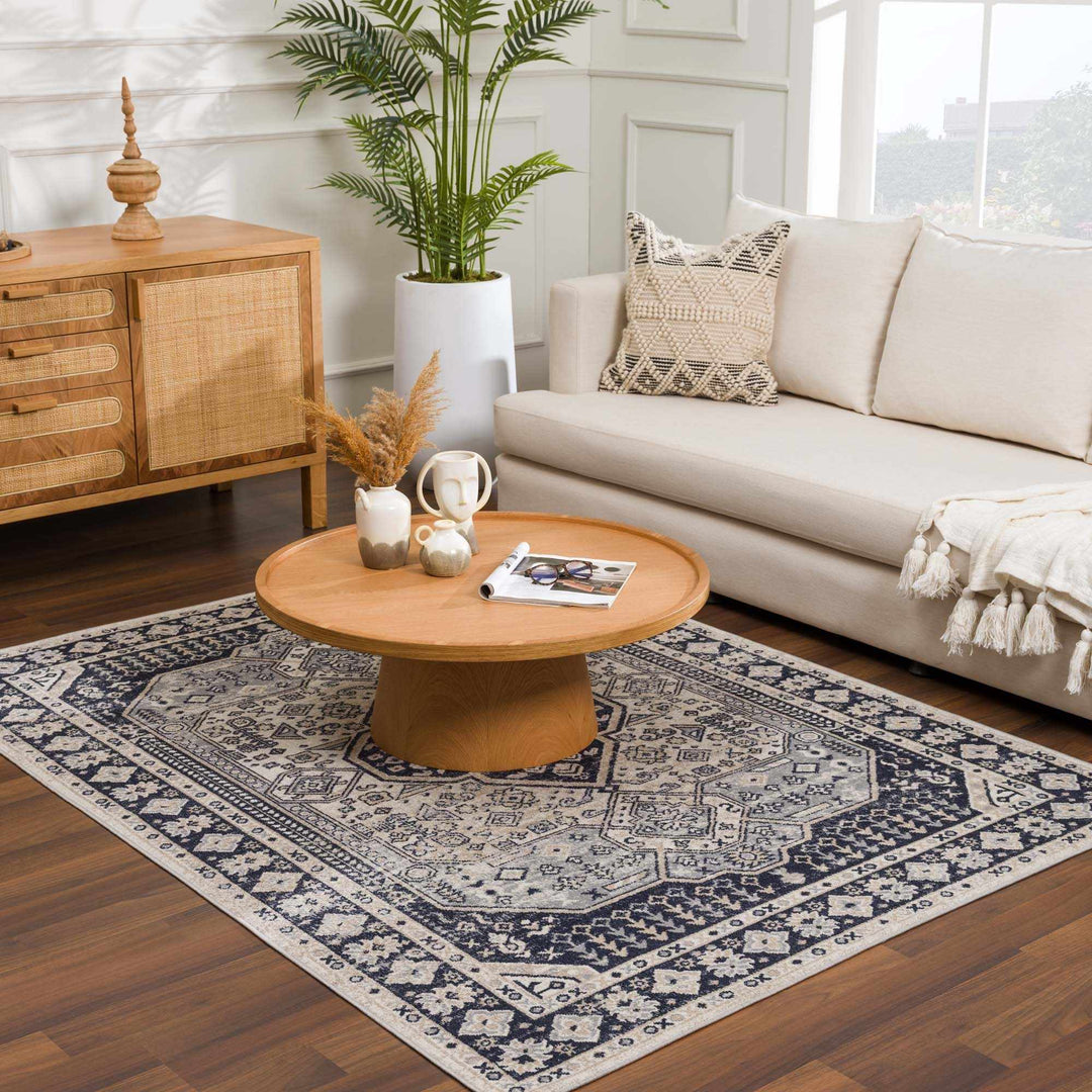 Antique Design Premium Black, Beige and Gray Traditional Washable area Rug - The Rug Decor