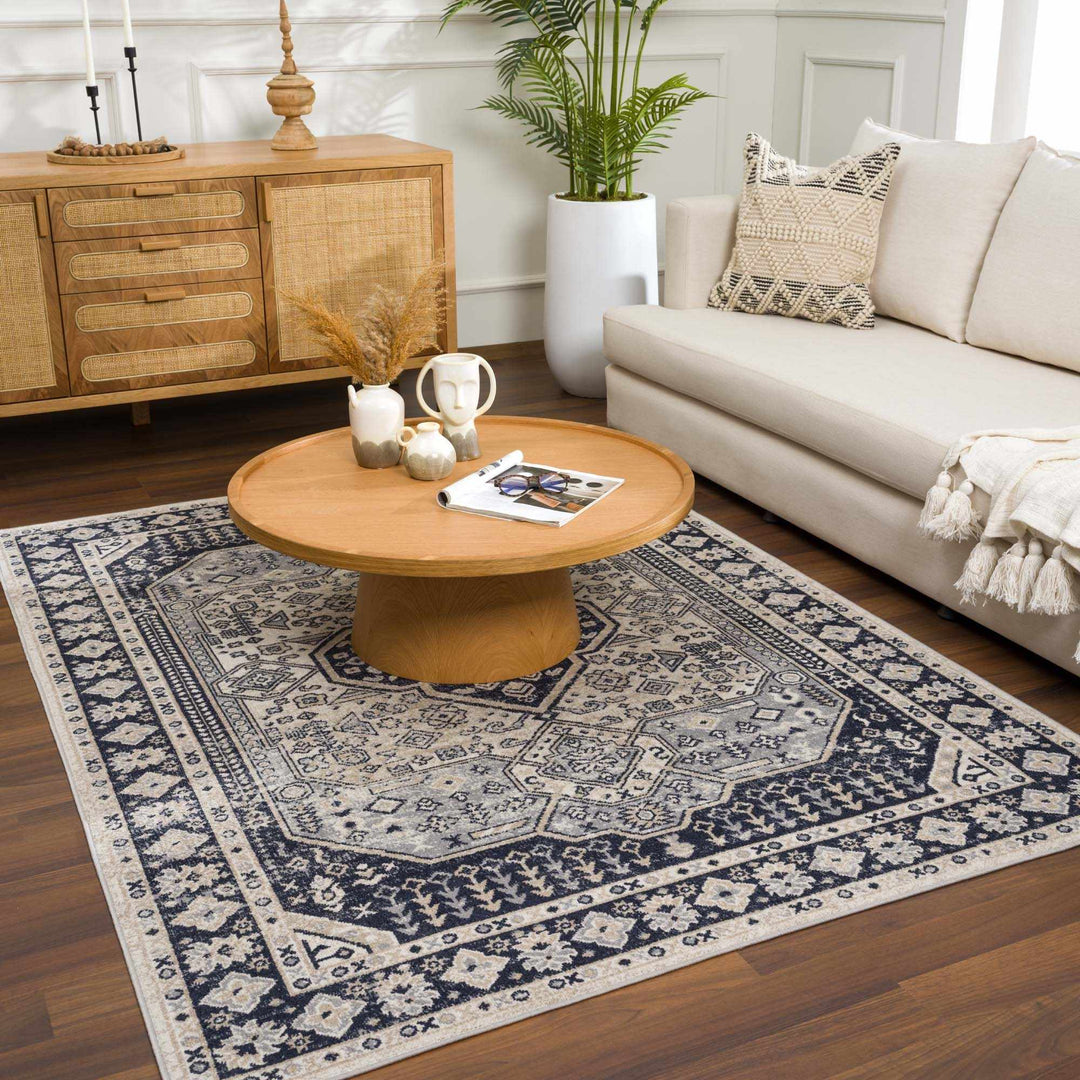 Antique Design Premium Black, Beige and Gray Traditional Washable area Rug - The Rug Decor