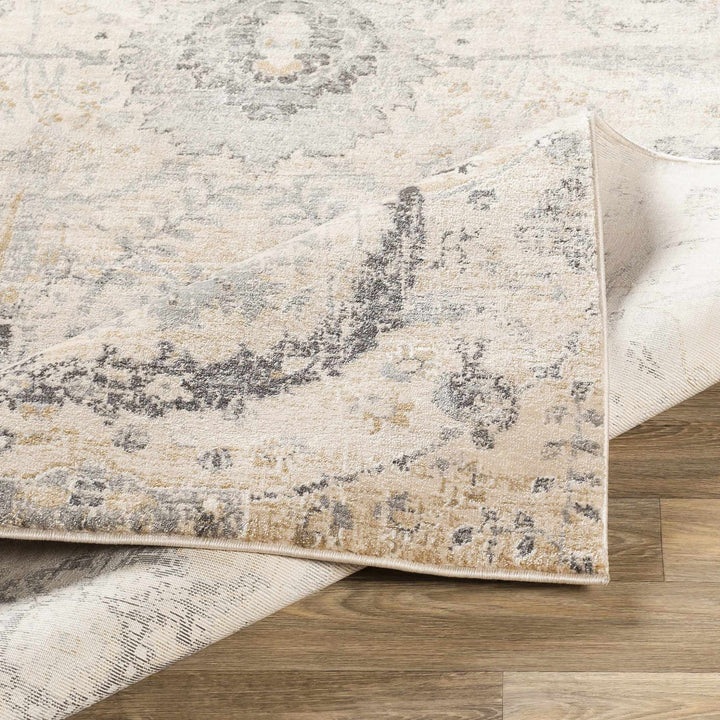 Antique look Beige, Gray and Charcoal Traditional Oriental Oushak rug - The Rug Decor