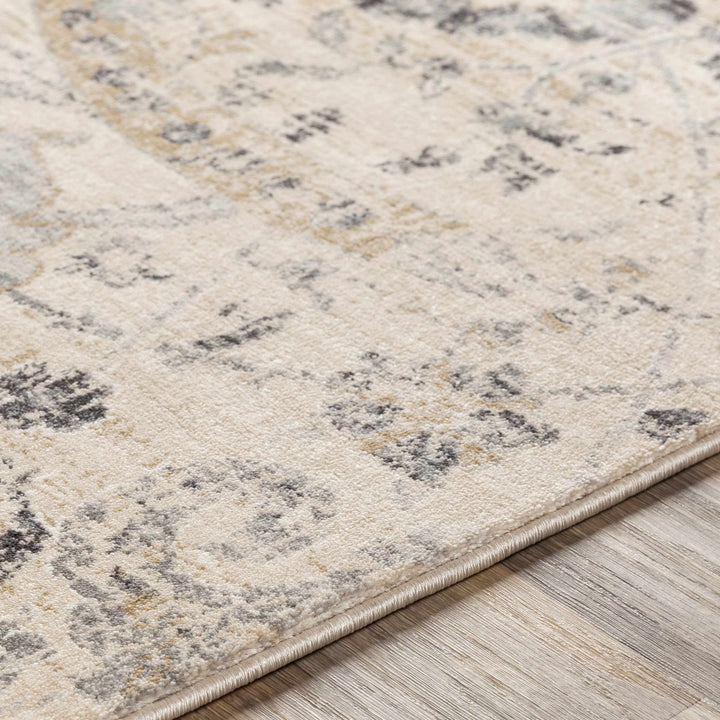 Antique look Beige, Gray and Charcoal Traditional Oriental Oushak rug - The Rug Decor