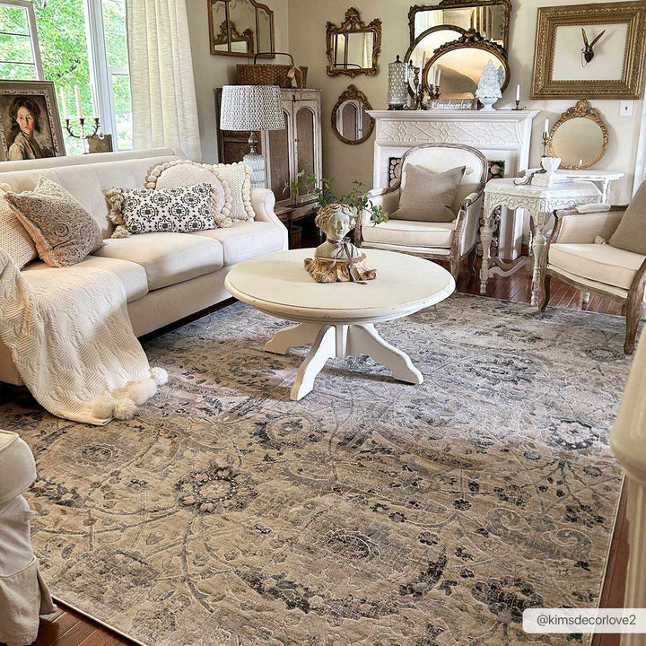 Antique look Beige, Gray and Charcoal Traditional Oriental Oushak rug - The Rug Decor