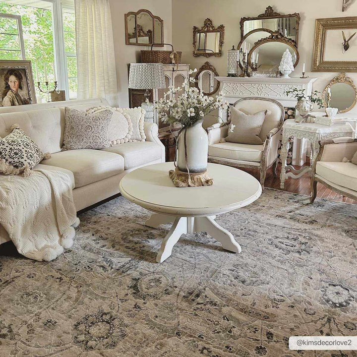 Antique look Beige, Gray and Charcoal Traditional Oriental Oushak rug - The Rug Decor