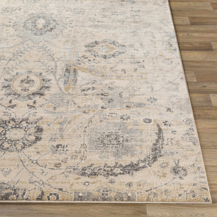 Antique look Beige, Gray and Charcoal Traditional Oriental Oushak rug - The Rug Decor