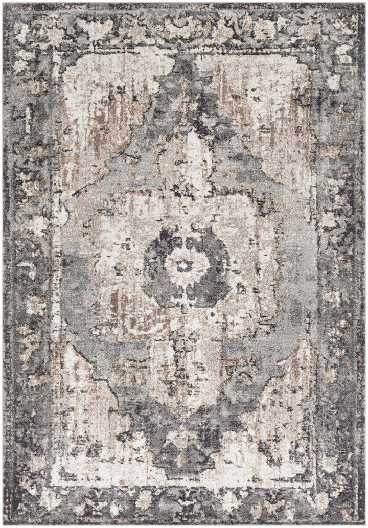 Antique Style Ivory, Tan, Charcoal and Gray Transitional Design Area Rug - The Rug Decor
