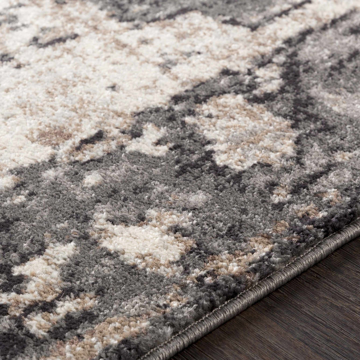 Antique Style Ivory, Tan, Charcoal and Gray Transitional Design Area Rug - The Rug Decor