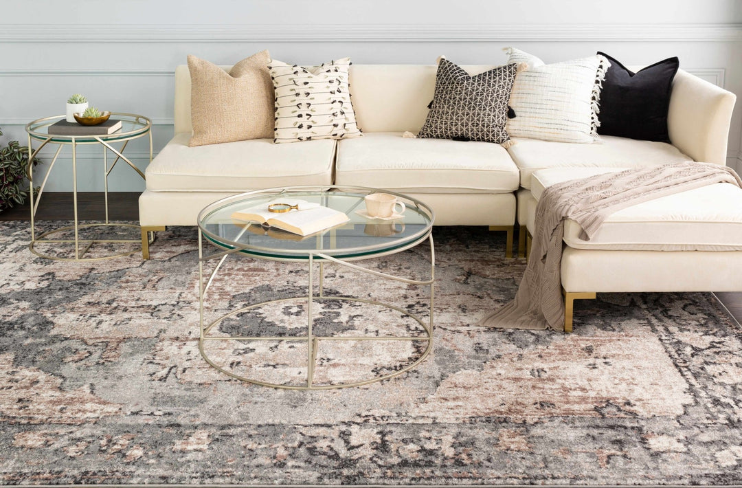 Antique Style Ivory, Tan, Charcoal and Gray Transitional Design Area Rug - The Rug Decor