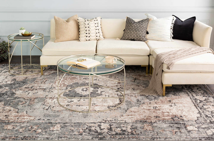Antique Style Ivory, Tan, Charcoal and Gray Transitional Design Area Rug - The Rug Decor