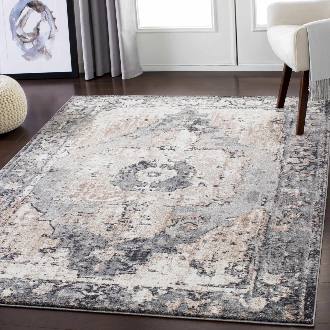 Antique Style Ivory, Tan, Charcoal and Gray Transitional Design Area Rug - The Rug Decor