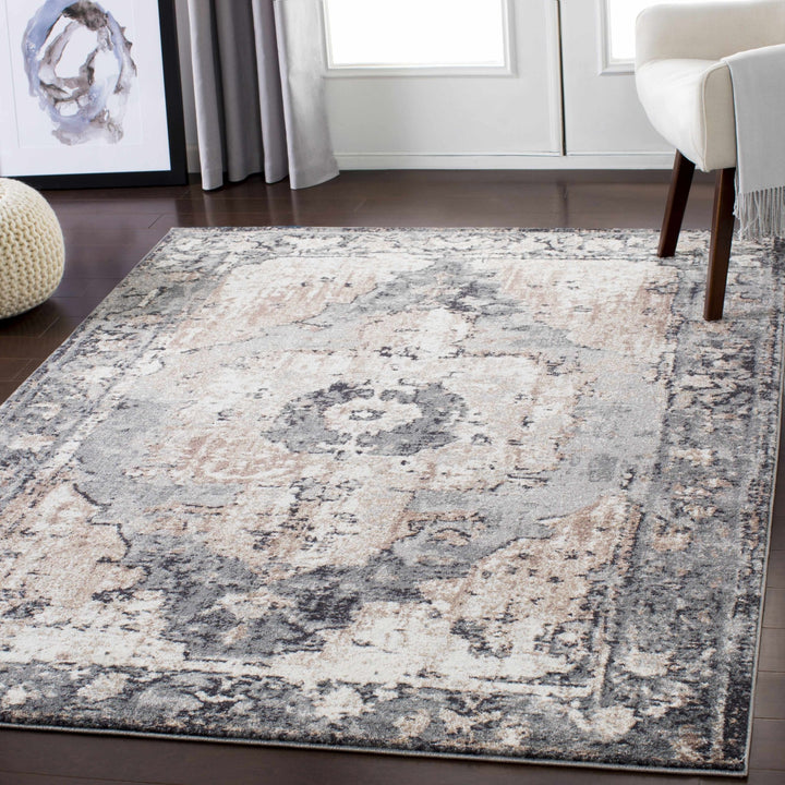 Antique Style Ivory, Tan, Charcoal and Gray Transitional Design Area Rug - The Rug Decor
