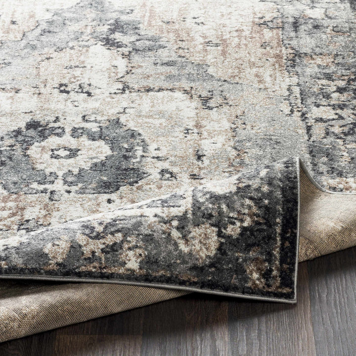 Antique Style Ivory, Tan, Charcoal and Gray Transitional Design Area Rug - The Rug Decor