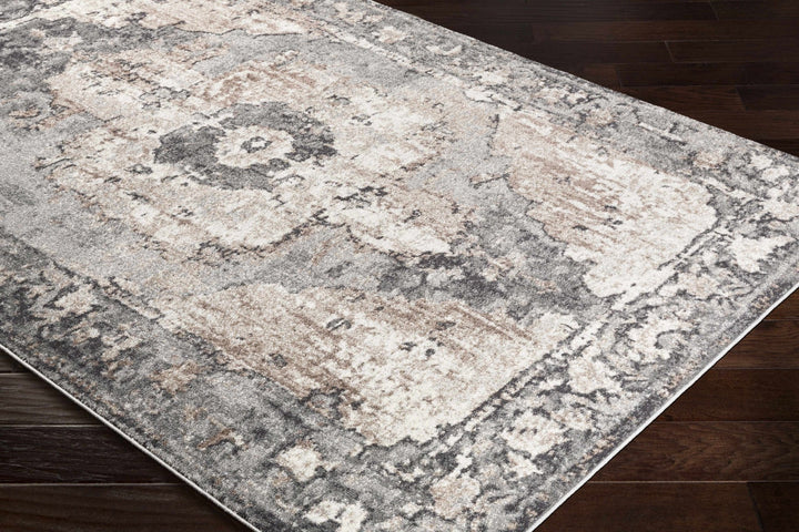Antique Style Ivory, Tan, Charcoal and Gray Transitional Design Area Rug - The Rug Decor