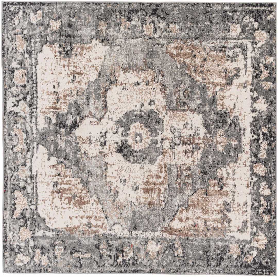 Antique Style Ivory, Tan, Charcoal and Gray Transitional Design Area Rug - The Rug Decor