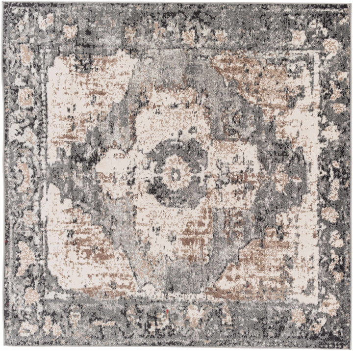 Antique Style Ivory, Tan, Charcoal and Gray Transitional Design Area Rug - The Rug Decor