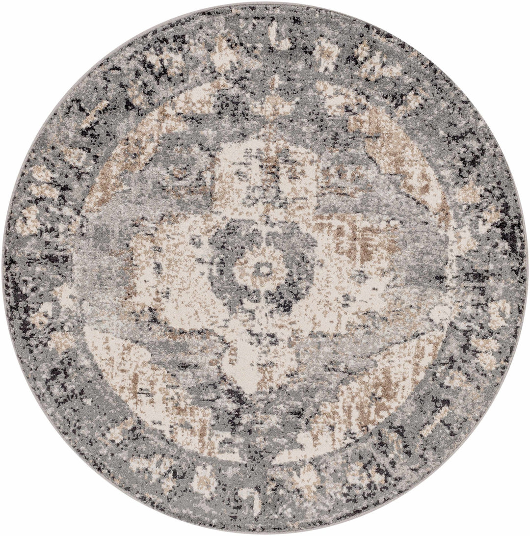 Antique Style Ivory, Tan, Charcoal and Gray Transitional Design Area Rug - The Rug Decor